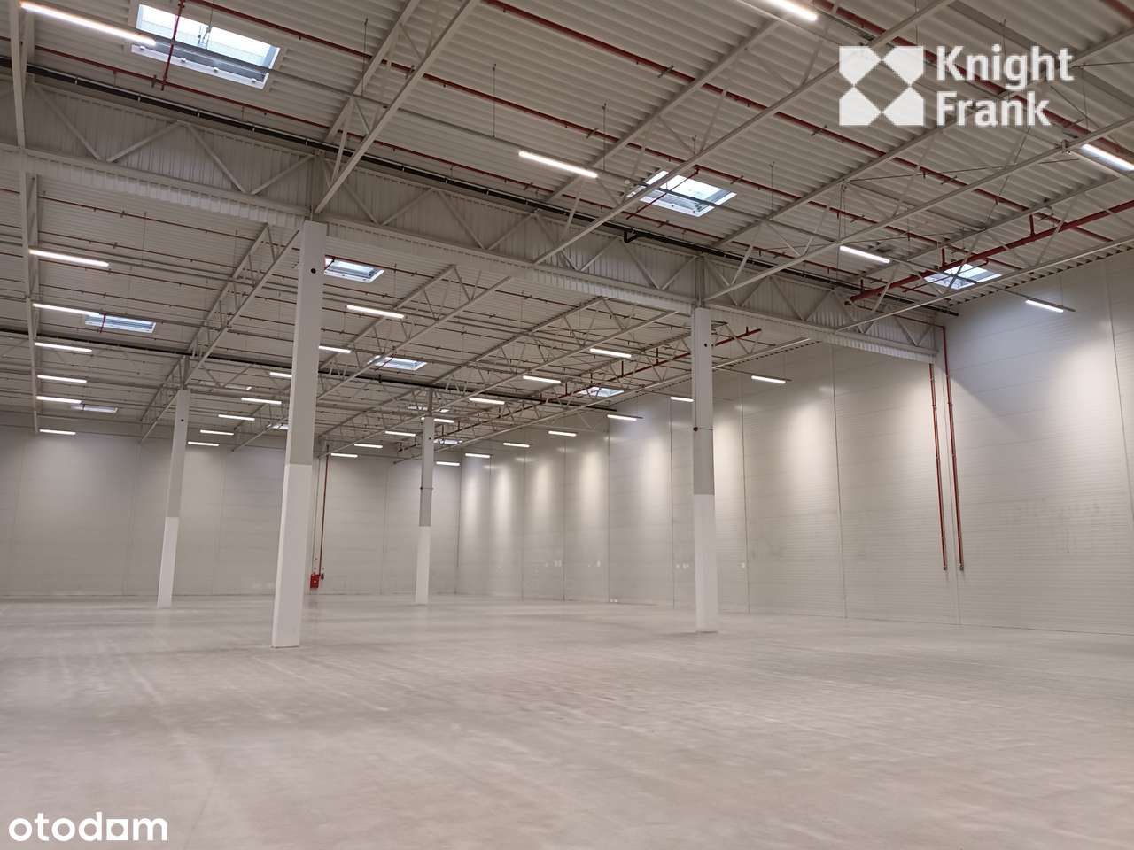 Magazyn w Szczecinie niedaleko A6/ 7500 m2