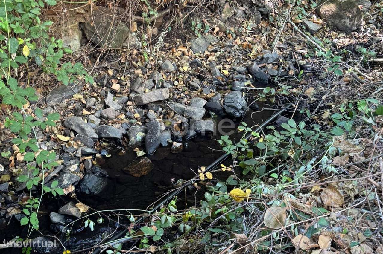 Terreno Rústico com 2000m2 - Monchique - Grande imagem: 4/23