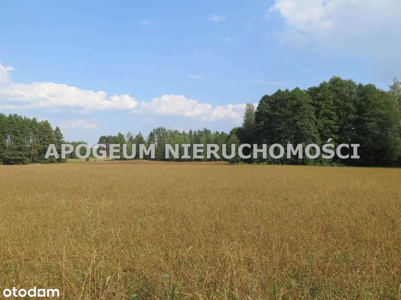 Piękna działka - Ciasne gm. Supraśl-3