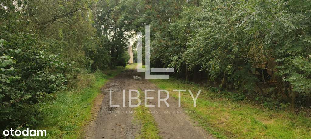 Barnisław - duża działka na wzniesieniu-5