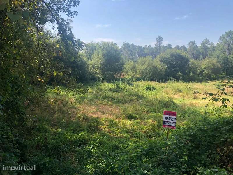 Terreno lugar Cortinha - Pigeiros, Santa Maria da Feira - Grande imagem: 4/8