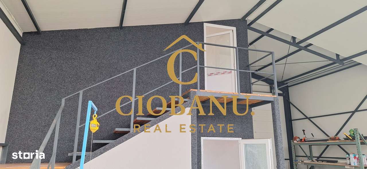 Hala de vanzare in Racari de Jos-4