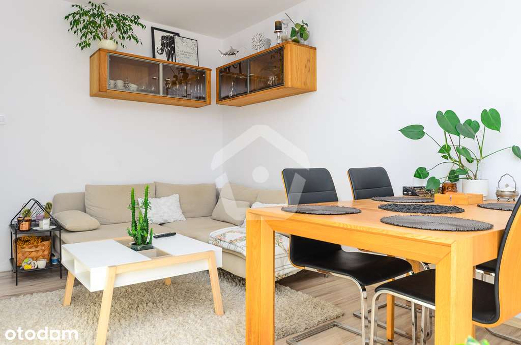 2 niezależne pokoje, jasna duża kuchnia - zadbane - Pełny obrazek: 3/14