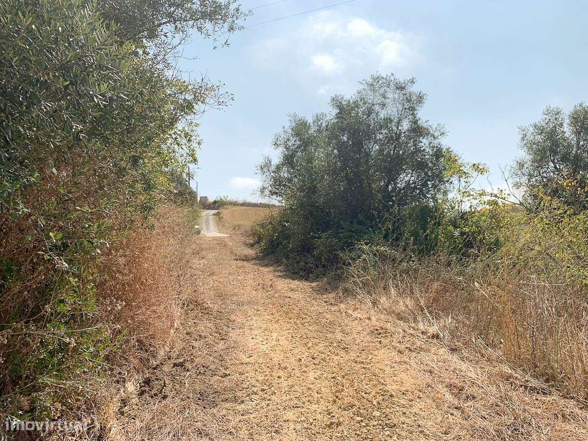 Terreno, Santarém - Grande imagem: 3/3