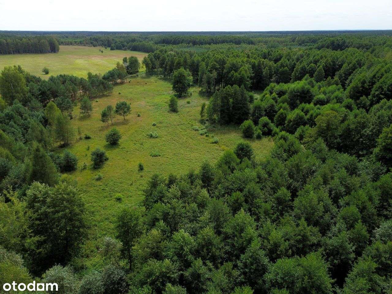 Kompleks działek w Rekownicy - Pełny obrazek: 5/16