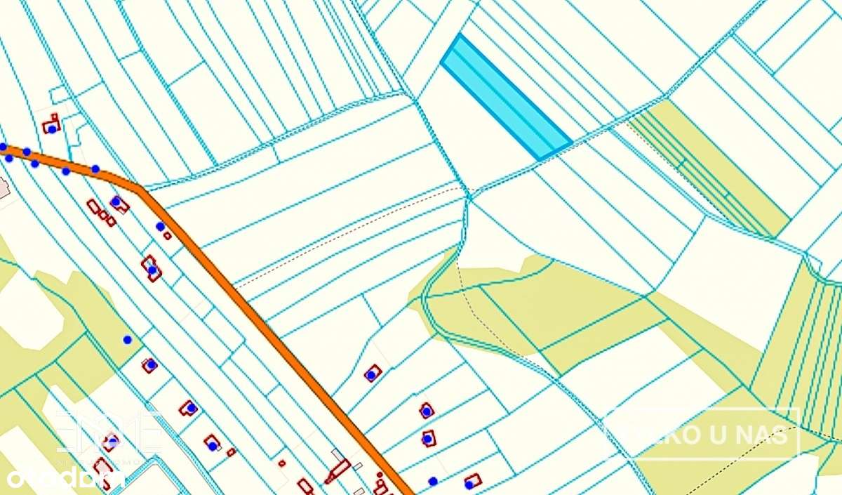 Działka inwestycyjna 3663 mkw - Kazimierz Dolny - Pełny obrazek: 2/6