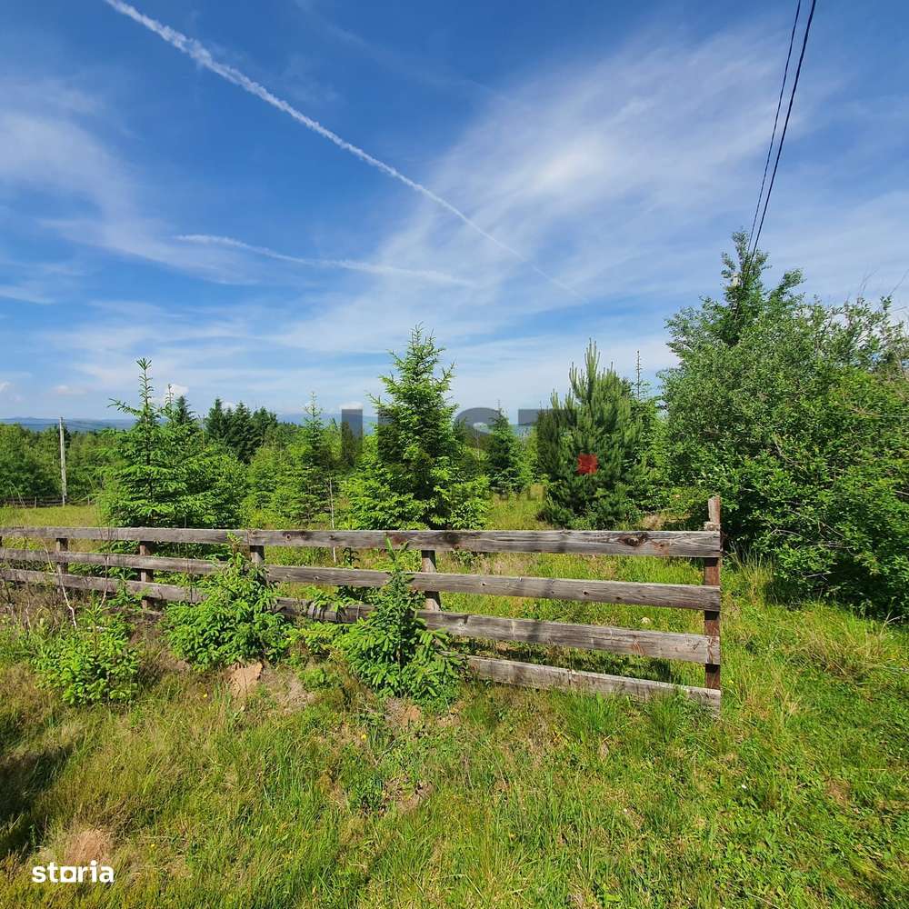 Când vrei mai mult cer decât ecran, e timpul pentru Călățele-Pădure-1