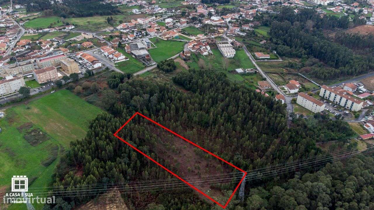 Terreno rústico na Paredinha em Rio Meão - Exclusivo - Grande imagem: 4/9