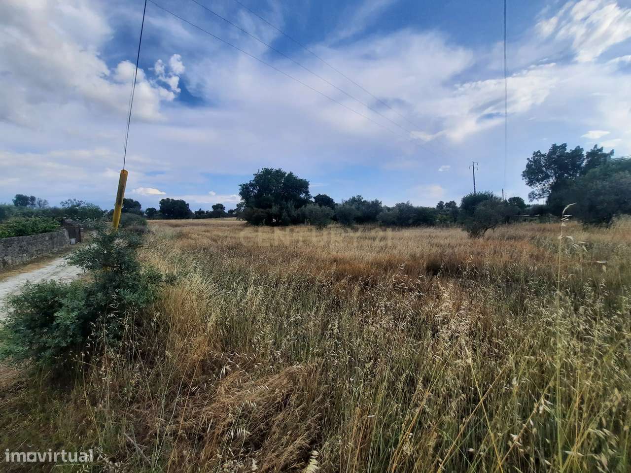 Terreno em São Miguel D Acha - Grande imagem: 3/18