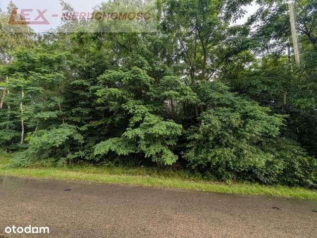 Spokojna okolica! Działka 615 m²-4