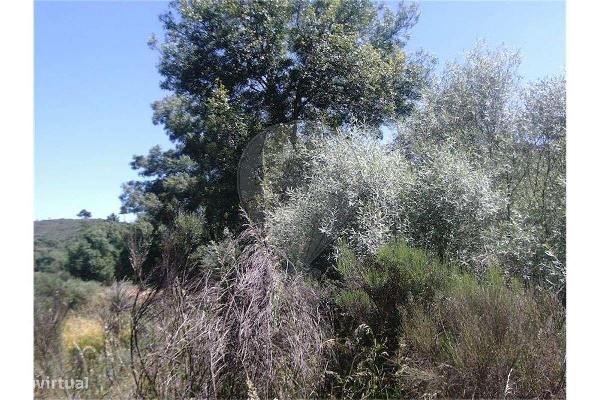 QUINTA C/ 20.500m² !! - Grande imagem: 3/18