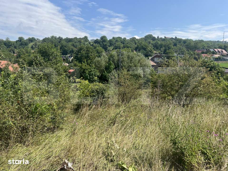 Teren 1400 mp, intravilan – Viile Dealul Mic, zona linistita - Imagine principală: 3/4