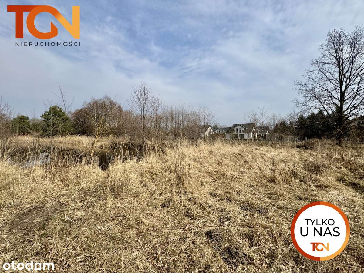 Duża działka na Teofilowie - Pełny obrazek: 2/7