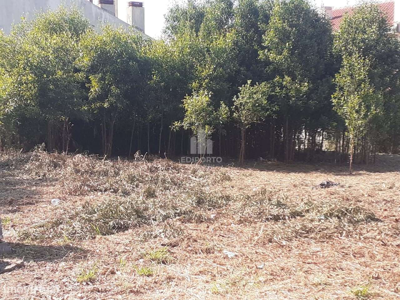 Terreno à venda na Rua dos Amores, Pedroso, Seixezelo. - Grande imagem: 2/3