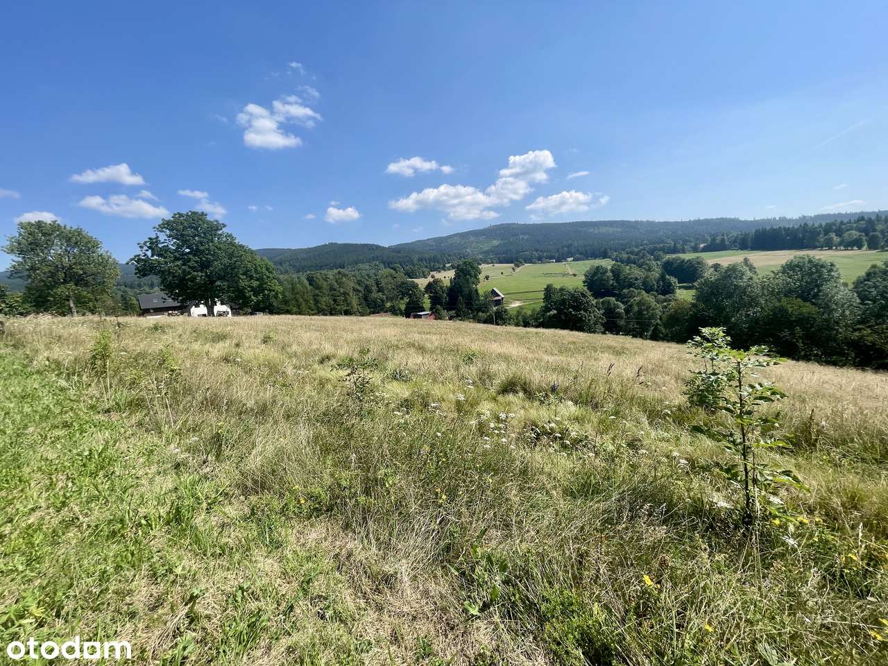 Malowniczo położona działka budowlana w Jodłowie