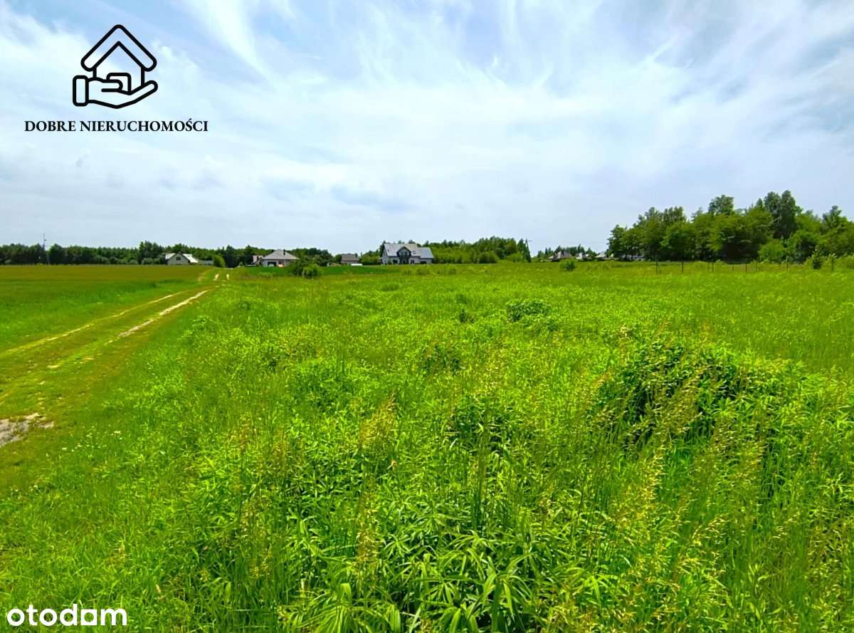 Tania działka budowlana 1000 m2 - Ostrów Lubelski - Pełny obrazek: 5/5