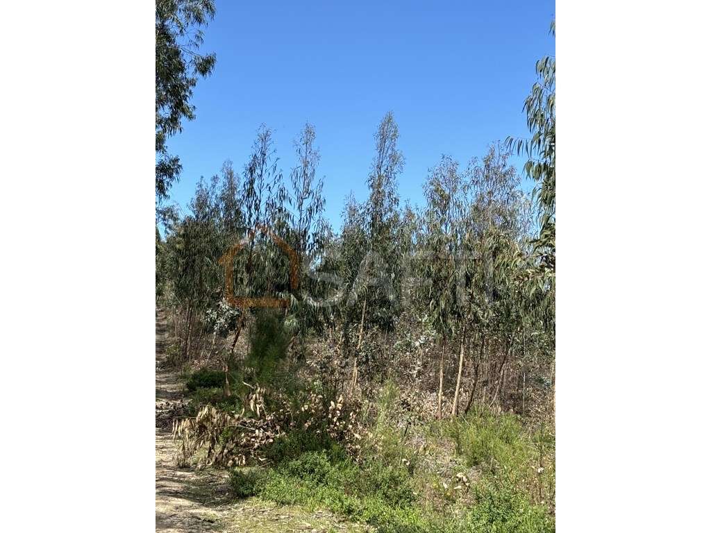 Terreno - Grande imagem: 5/6