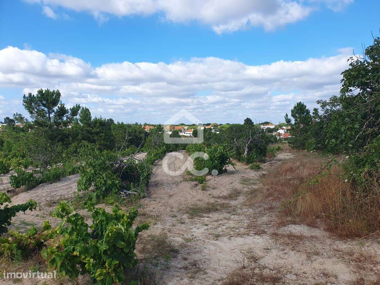 Terreno com 38.830 m² em localização privilegiada em Coruche - Grande imagem: 3/14