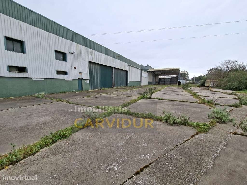 Armazém Industrial de Grande Dimensão - Parque Industrial da Mitren... - Grande imagem: 2/26