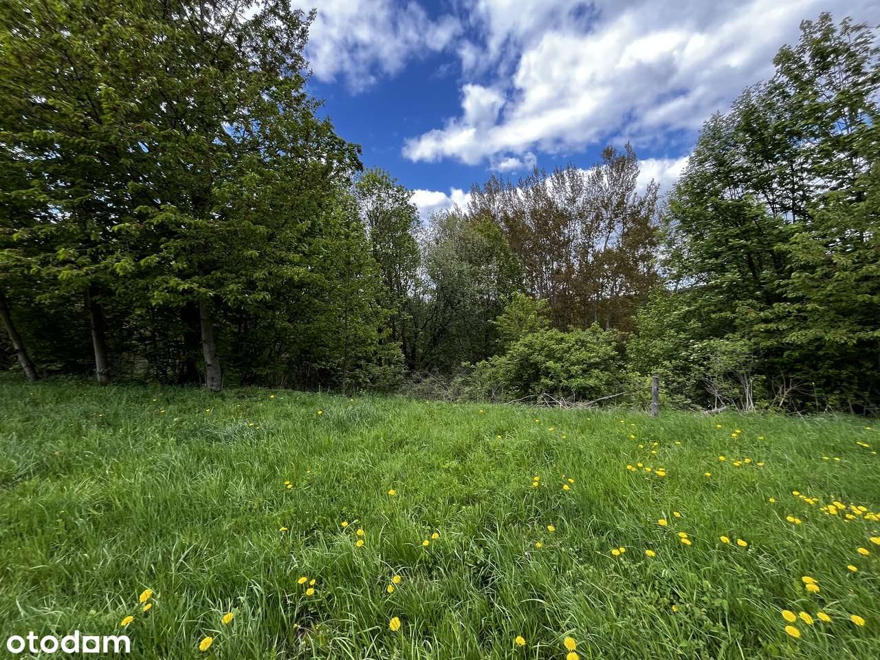 Widok jak z pocztówki – działka budowlana w sercu Gór Sowich - Pełny obrazek: 5/6