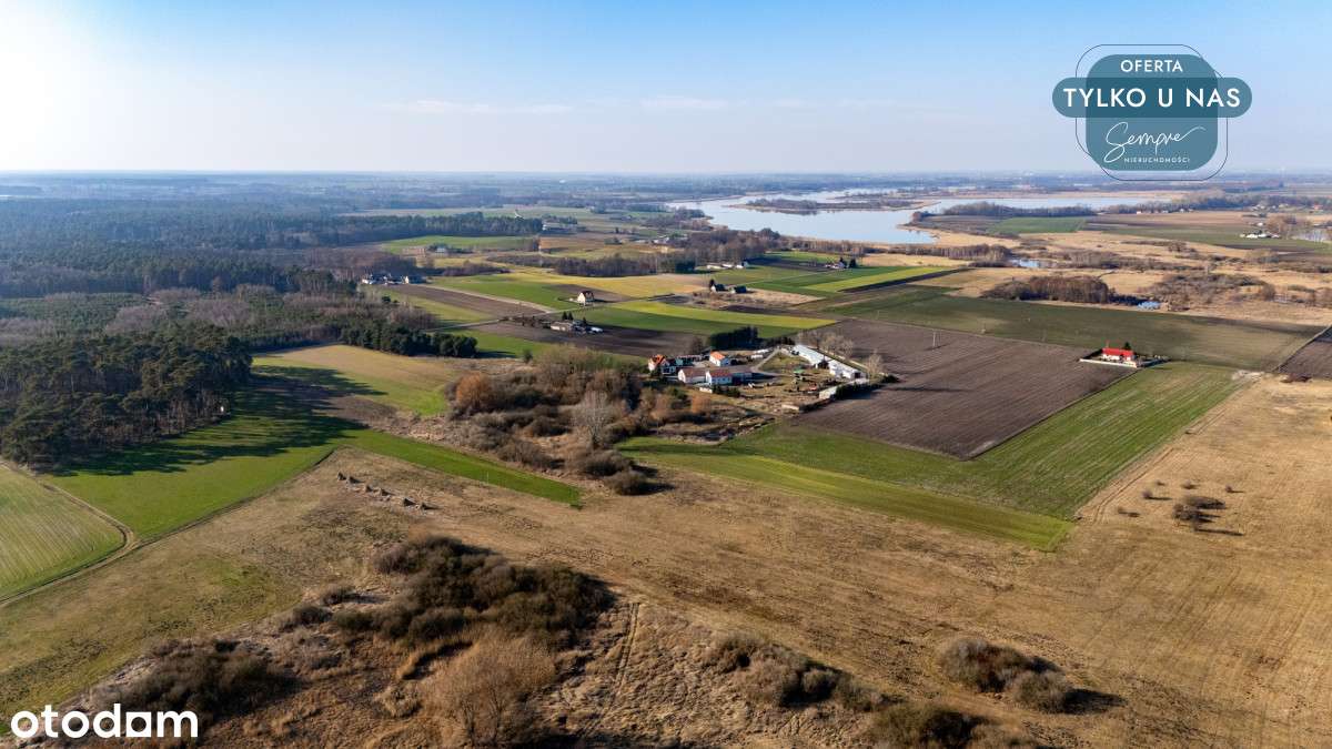 Przestronna działka 15 200 m² w Łuszczewie - Pełny obrazek: 4/11