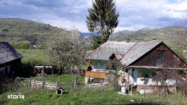 Teren 3 hectare cu casa traditionala Rebrisoara