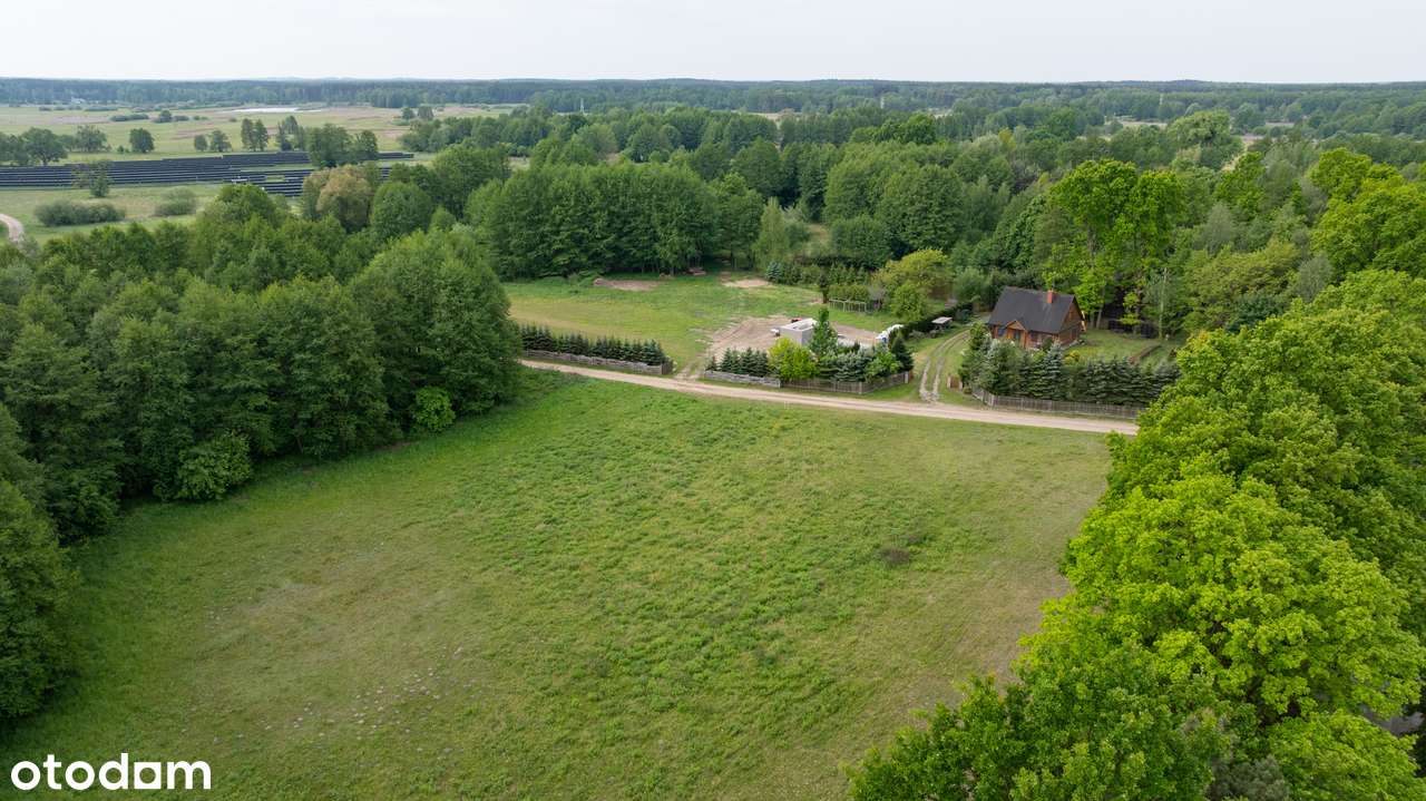 Piękne działki budowlane ze starodrzewiem pod Nowym Tomyślem-7