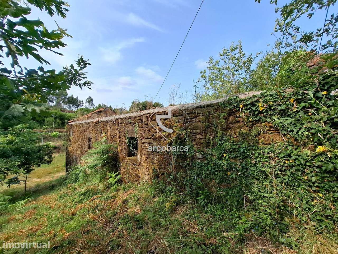 Quintinha ruinas p/restauro com 2520m2 - Moreira Lima - Ponte de Lima-8