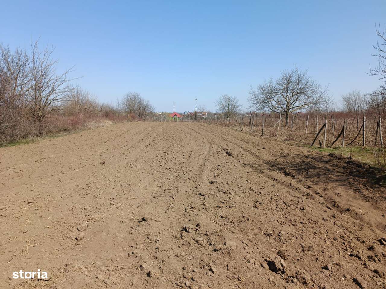 Teren extravilan 2400 mp in Afumati - Imagine principală: 3/3