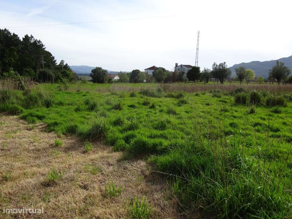 Terreno agrícola na Cabração- Ponte de Lima - Grande imagem: 4/5