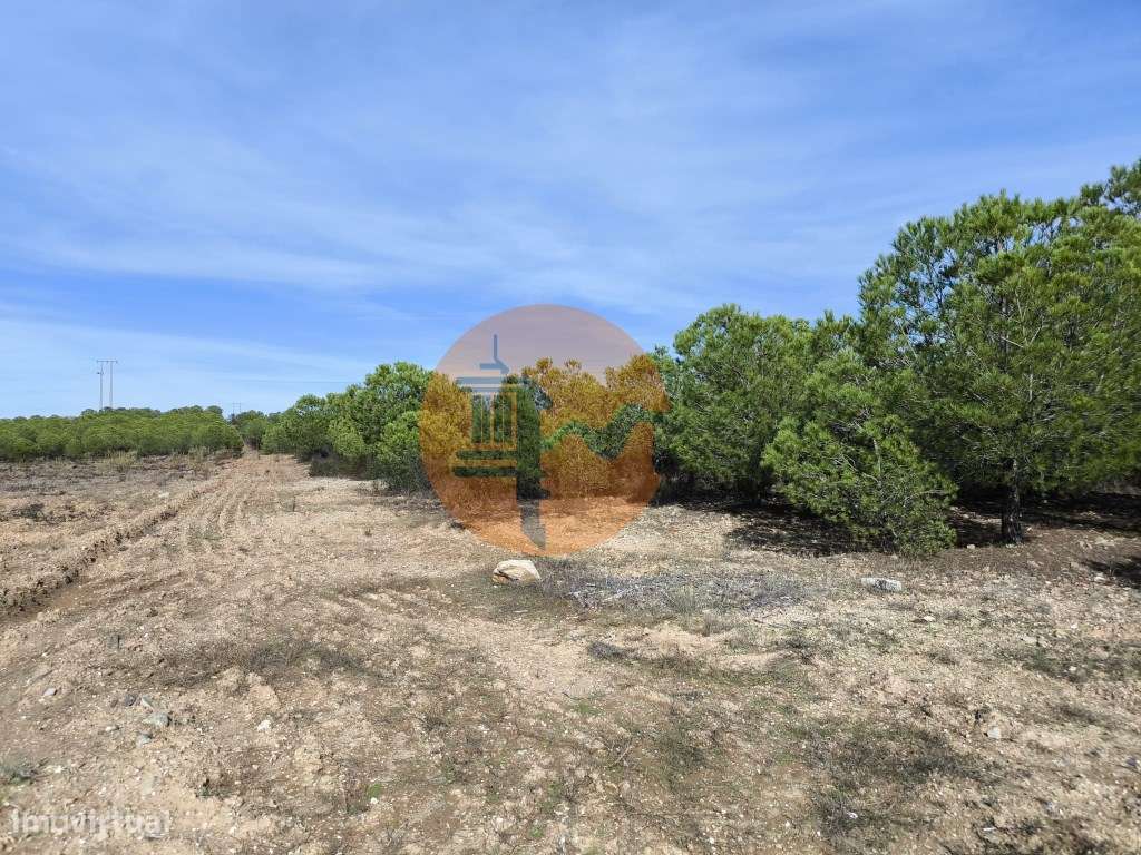 TERRENO COM 16.000 M2 - PLANO - ELETRICIDADE - TORNEIRO EM ALCOUTIM... - Grande imagem: 5/33