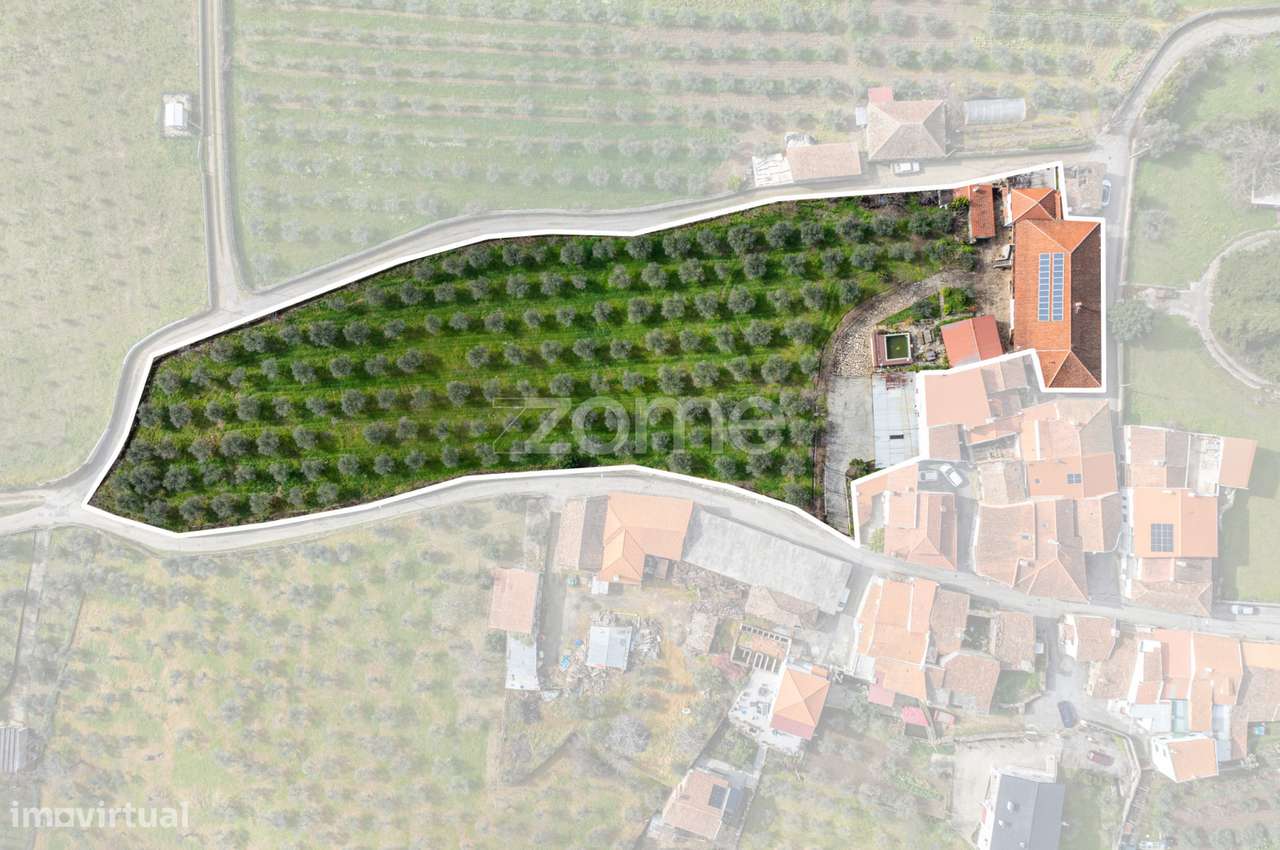 Quinta T10 com Piscina e 7.000m² de Terreno – Murça, Vila Real - Grande imagem: 3/60