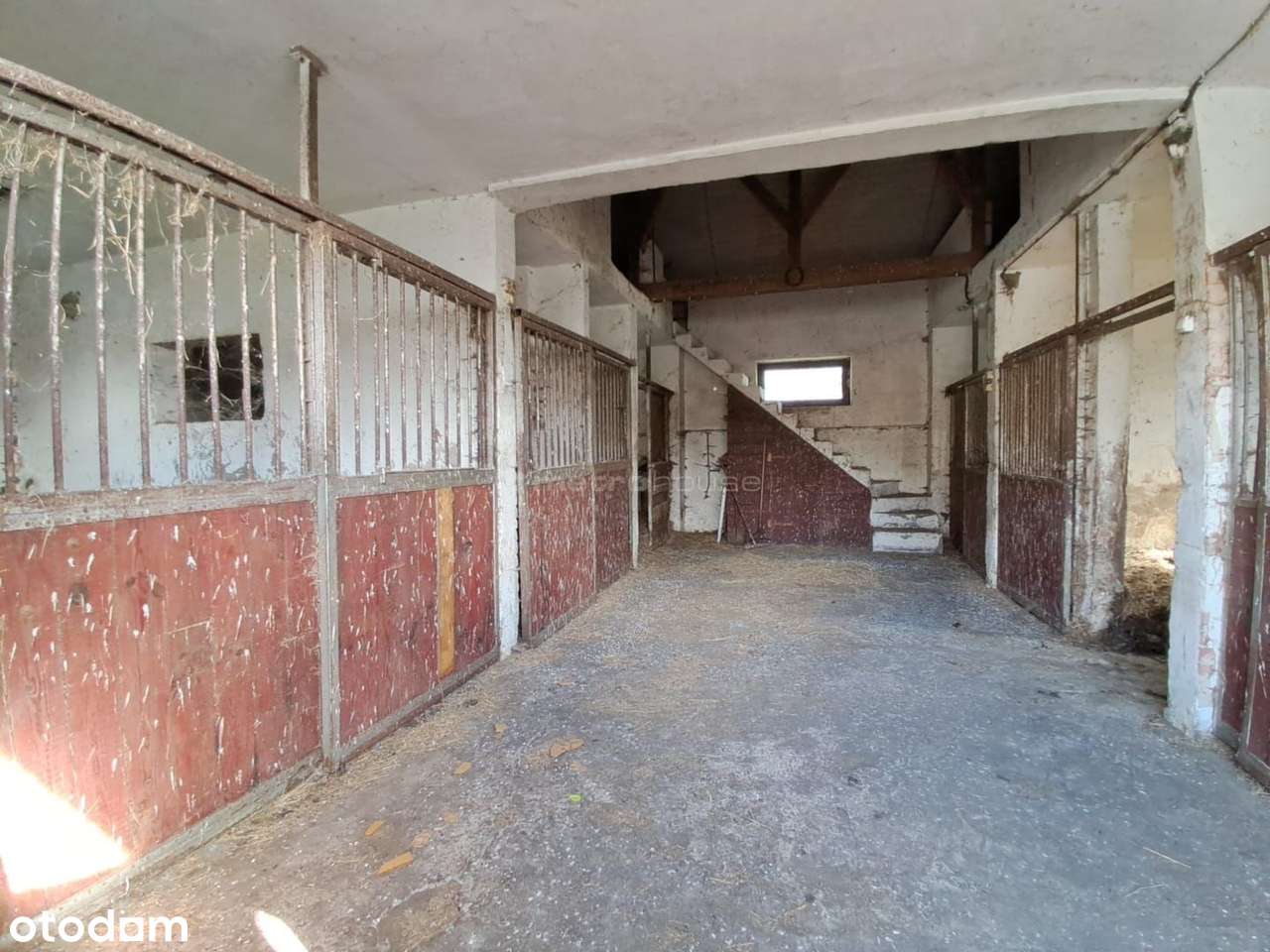 Działka usługowa_Zabudowana_Stajnia-Magazyn. - Pełny obrazek: 5/8