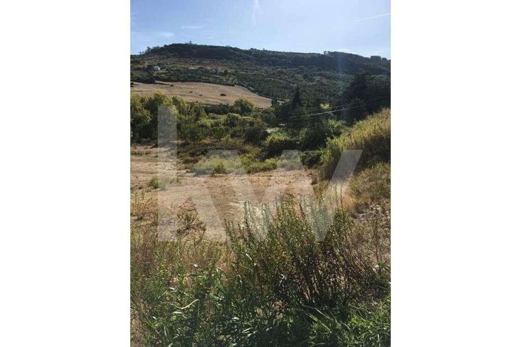 Terreno em Arruda dos Vinhos - Grande imagem: 3/6