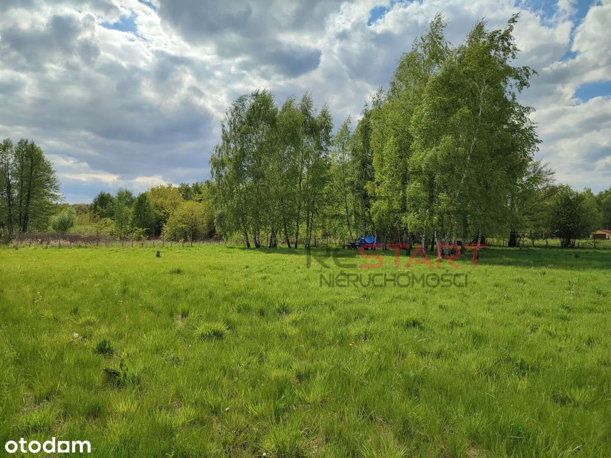 Duża działka budowalna w malowniczych Radoniach! - Pełny obrazek: 4/5