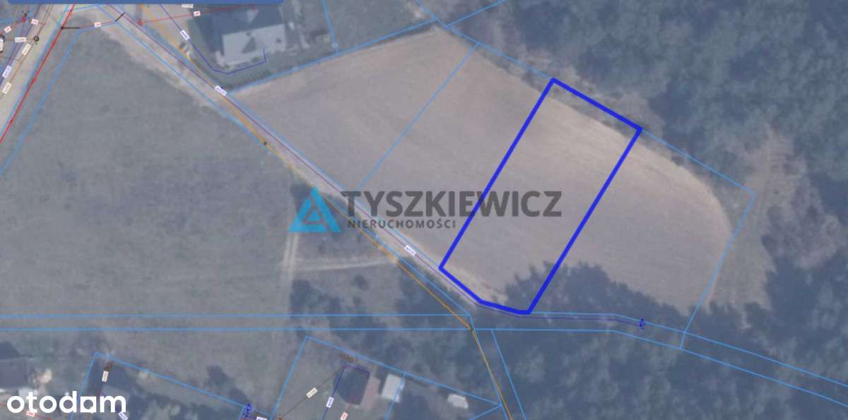 Działki w Ostrowie z wydanymi WZ - Pełny obrazek: 4/17