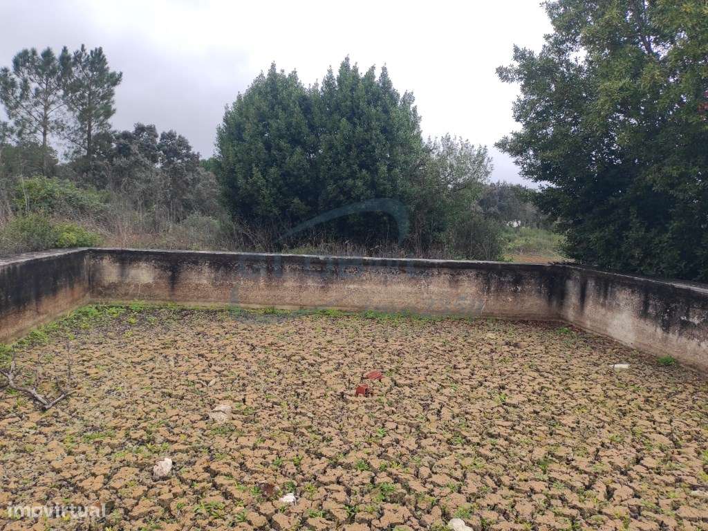 Terreno rústico em Malhou - Alcanena - Grande imagem: 4/11