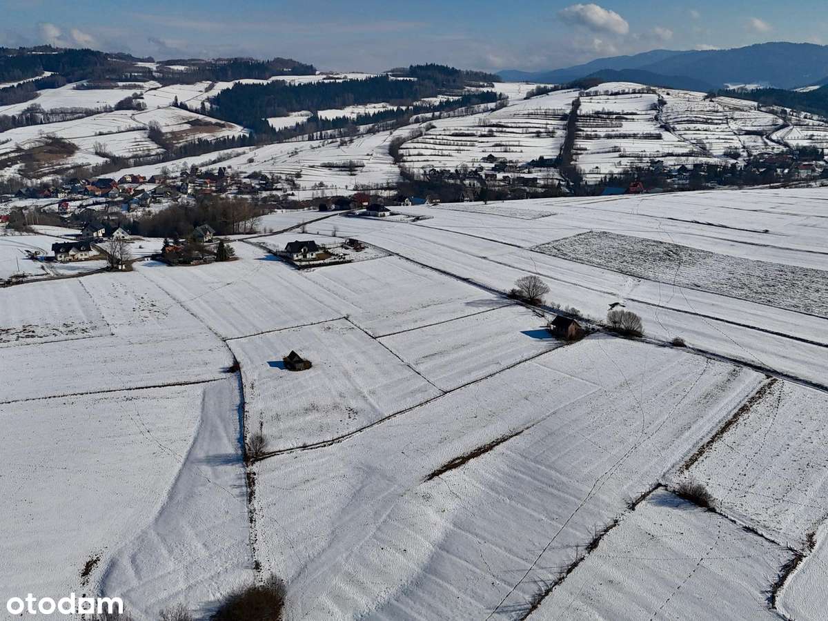 Duża działka budowlana w  SERCU BESKIDÓW-OLSZÓWKA, gmina Mszana Dolna-7