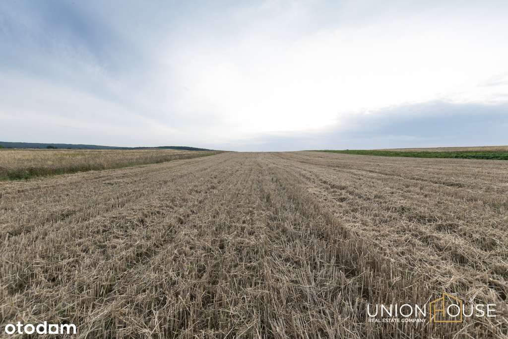 Działka z dojazdem budowlano-rolna, 0,65 ha-5