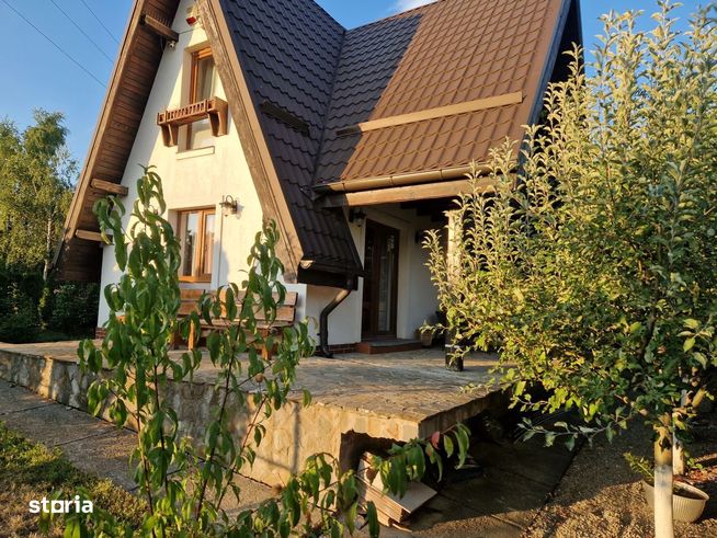 EXCLUSIV - Cafrom Imobiliare - SECIU-Vila de Vanzare-4
