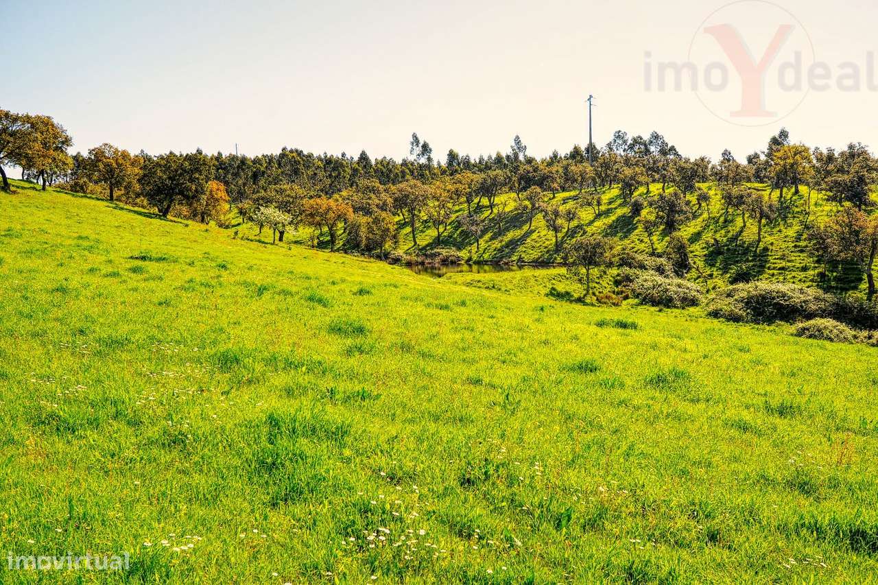 TERRENO EM S.BARTOLOMEU DA SERRA-15