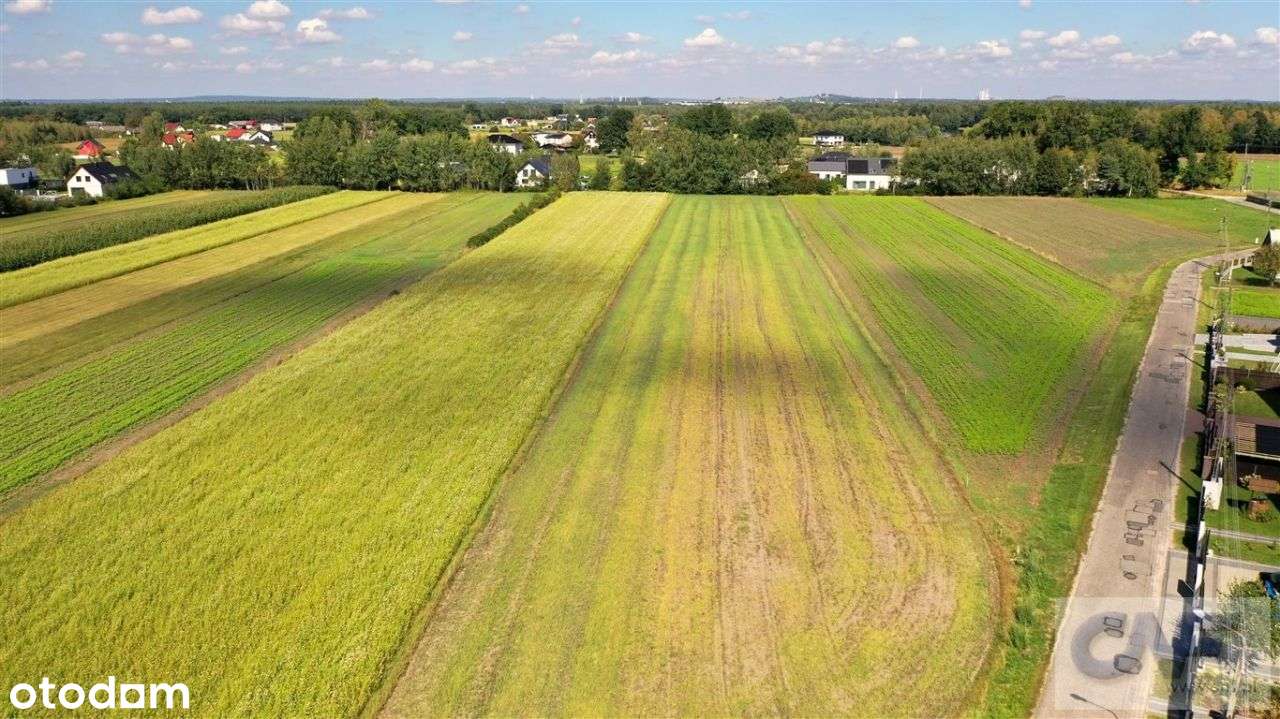 Świerczyniec, Działka pod 11 domów - Pełny obrazek: 4/8