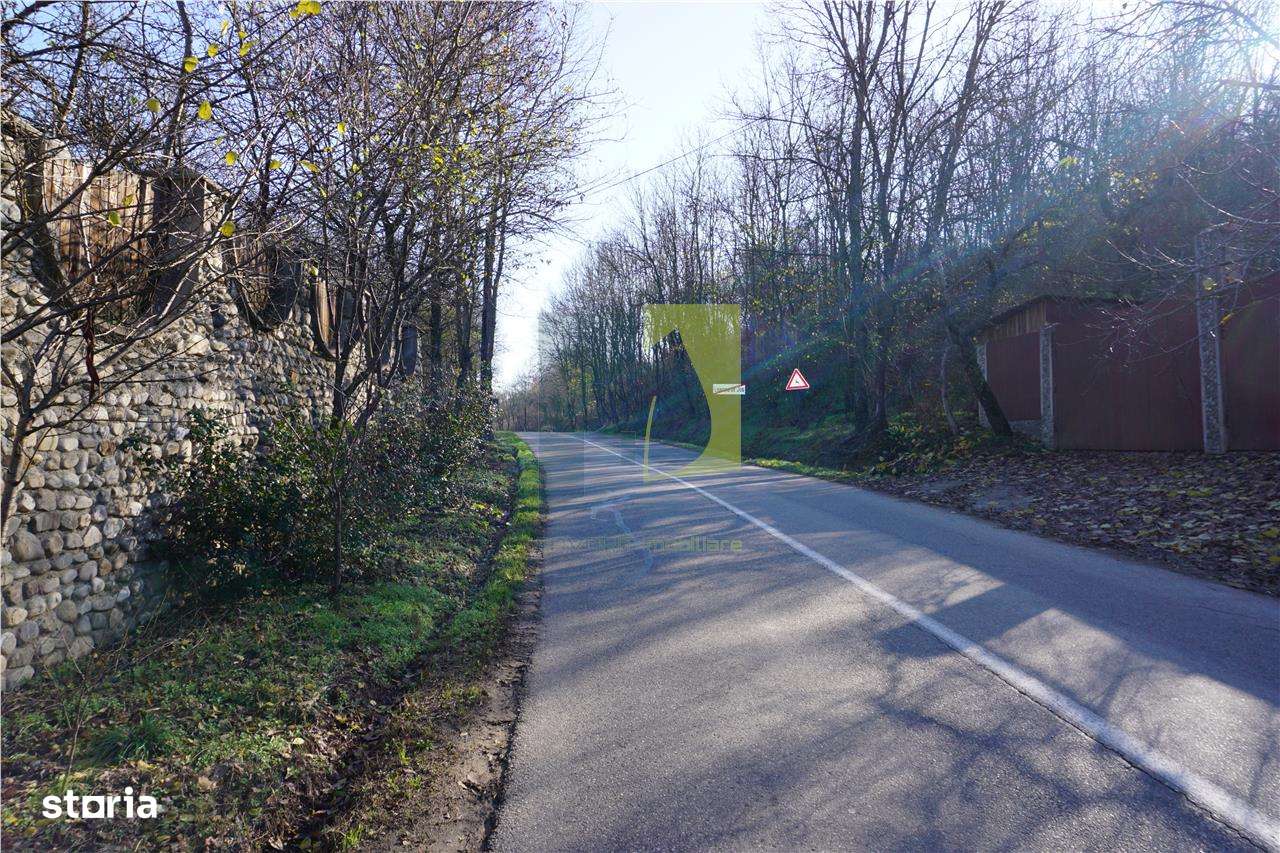 Teren de vanzare in Leamna de Jos-10