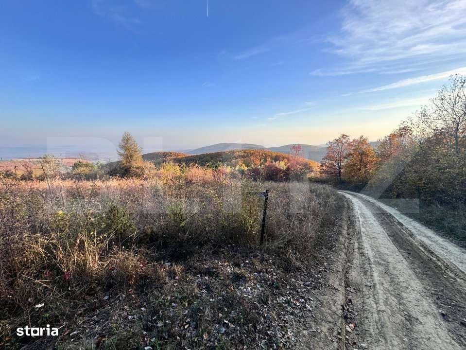 Teren de vanzare - Imagine principală: 2/3