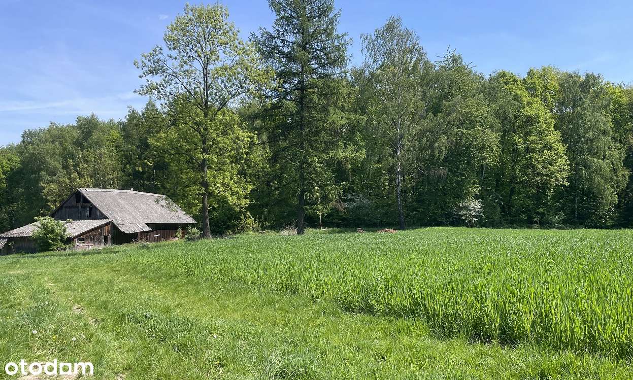 Siedlisko na polanie, pod stadninę lub agroturystykę, 30 min od KRK-8