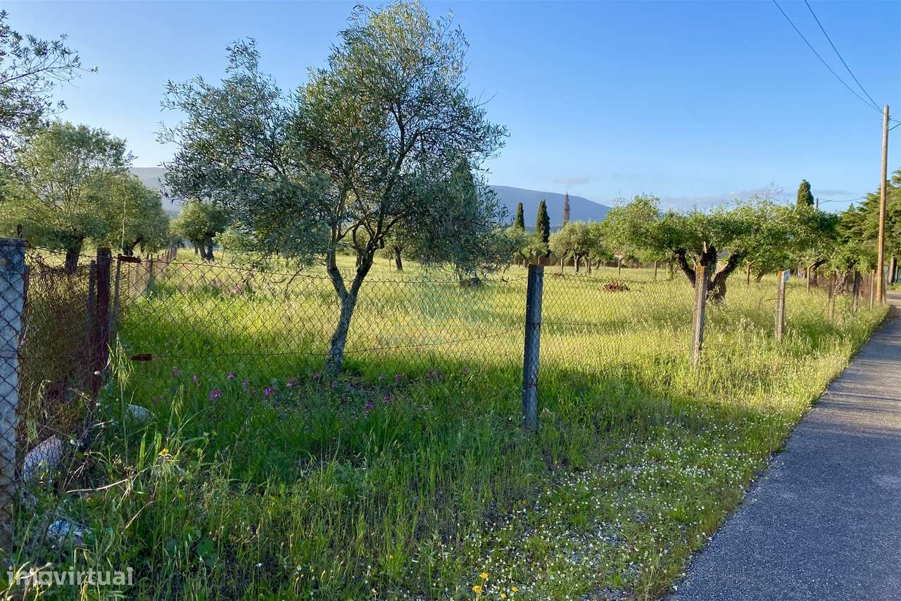Terreno Rústico Urbanizável em Zibreira, Torres Novas - Grande imagem: 4/7
