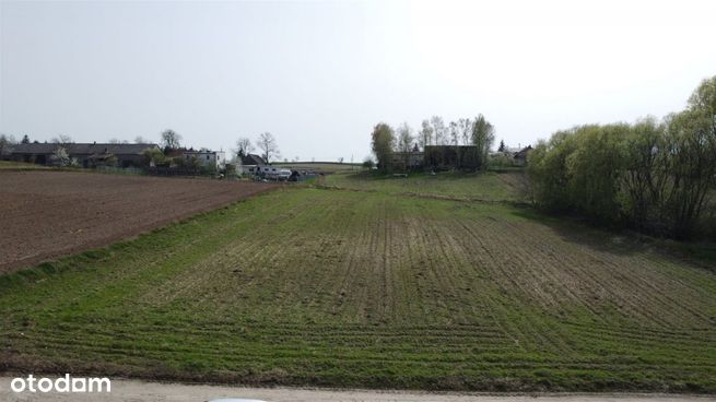 Wyjątkowa działka rolna w Łaszewie