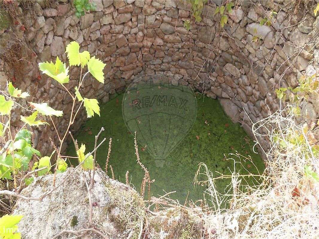 Quinta  para venda-5