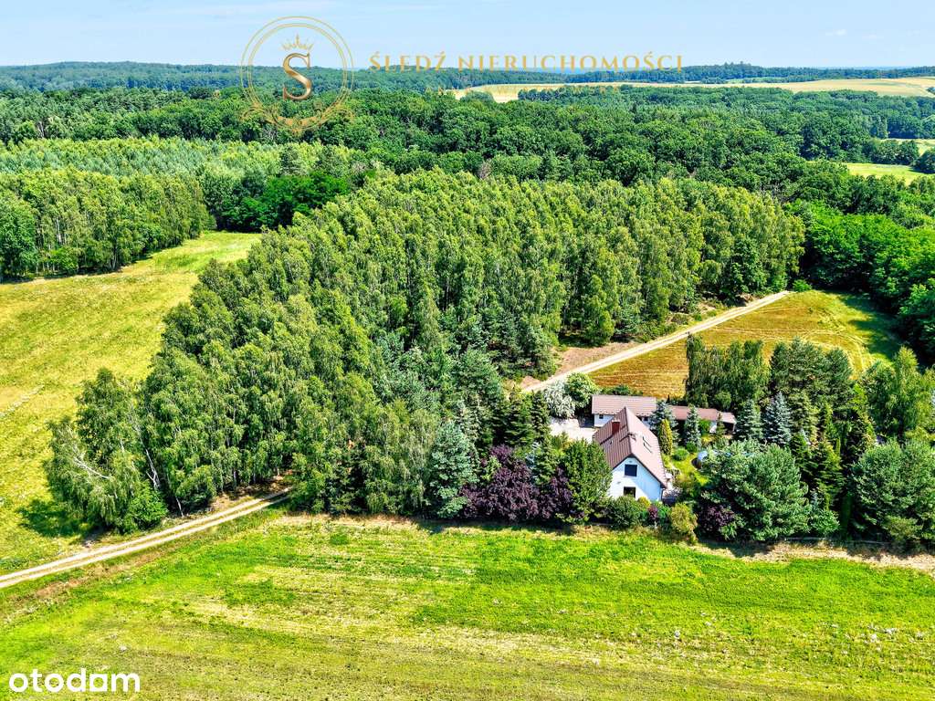 1,2 ha Działka Budowlana 45 min od Wrocławia + Las-17