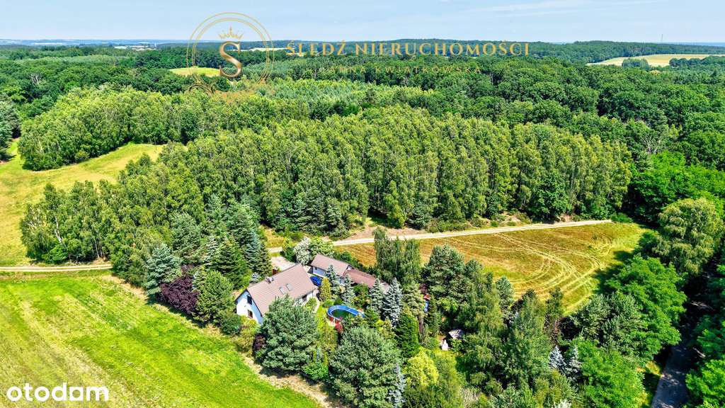 1,2 ha Działka Budowlana 45 min od Wrocławia + Las-14